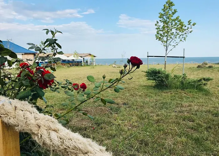 Panzió Complex Turistic Rasarit Corbu 3*